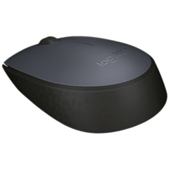 Logitech Wireless Mouse B170